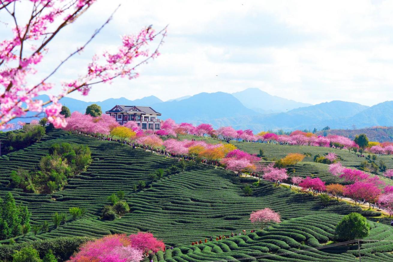 176758268630120657.png 图片2.png